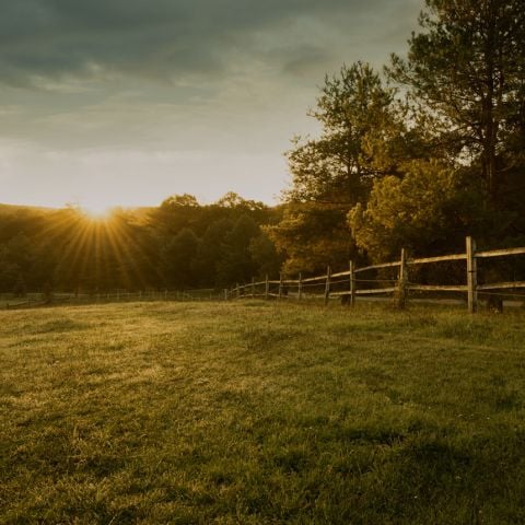 OLTRE IL VERDE: COMPLESSITÀ, SCENARI EMERGENTI E TRAIETTORIE DI INNOVAZIONE NELLA COMUNICAZIONE DELLA SOSTENIBILITÀ