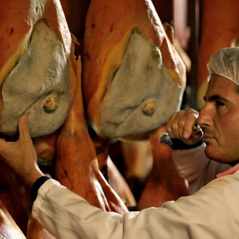 IL SUINO PESANTE ITALIANO E LA PRODUZIONE DEI SALUMI