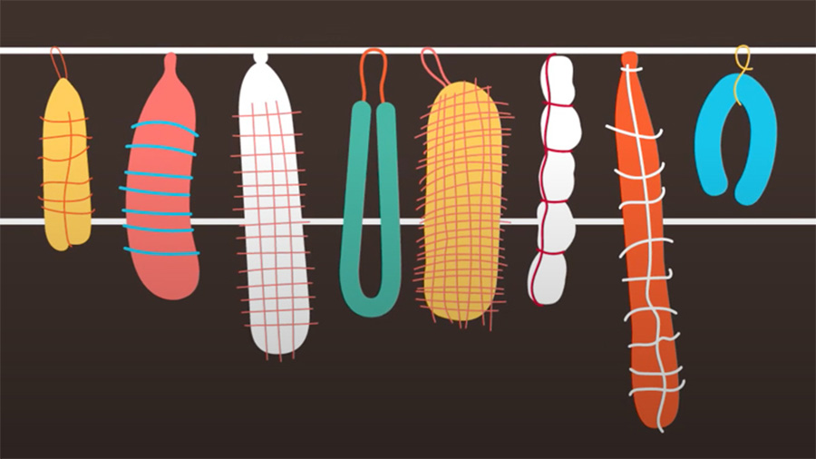 salame_secondo_levoni.jpg
